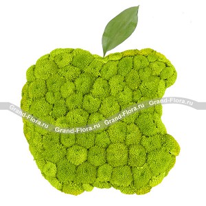 Композиция в форме яблока Apple  